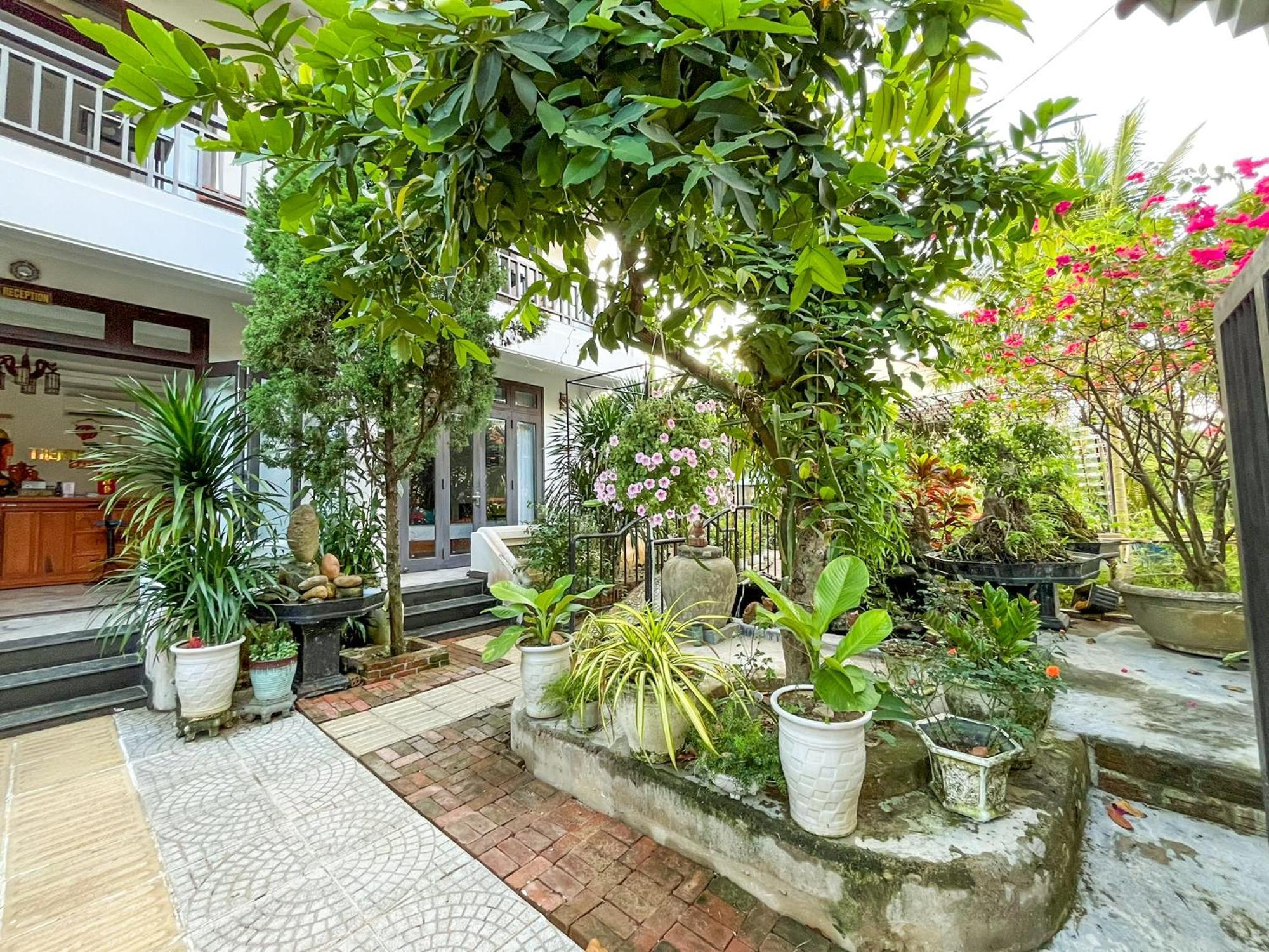 Trendy Life Villa Хоян Екстер'єр фото